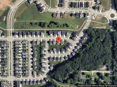 Levitan, MADISON, WI 53718