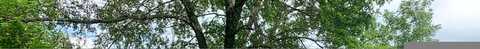 Channing, FERGUS FALLS, MN 56537