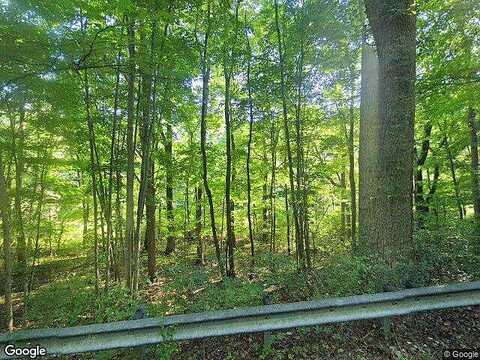 Tiptop, NORTH TAZEWELL, VA 24630