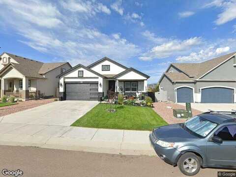 Bigtooth Maple, COLORADO SPRINGS, CO 80925