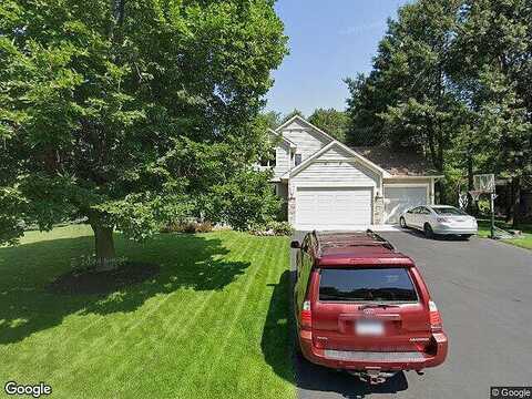 Swallow, ANDOVER, MN 55304
