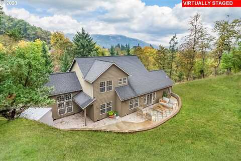 Wild Fern, WINCHESTER, OR 97495