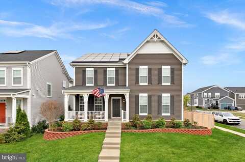 Forsythia, STAFFORD, VA 22554