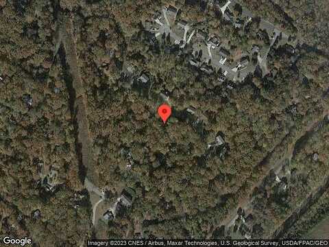 Big Tree, GAINESVILLE, GA 30501