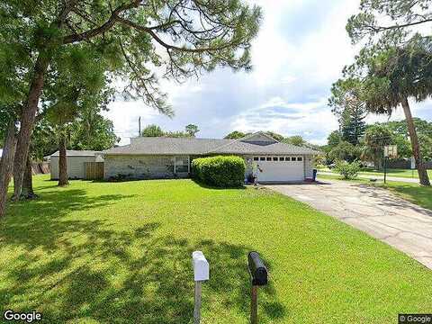 Pine Tree, EDGEWATER, FL 32141