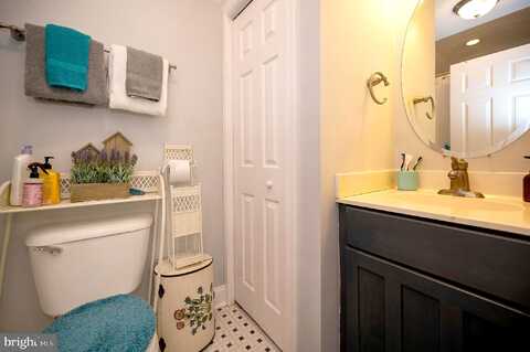 Beech, RHOADESVILLE, VA 22542