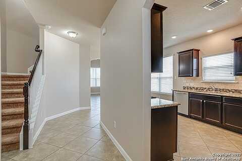Clover, NEW BRAUNFELS, TX 78130
