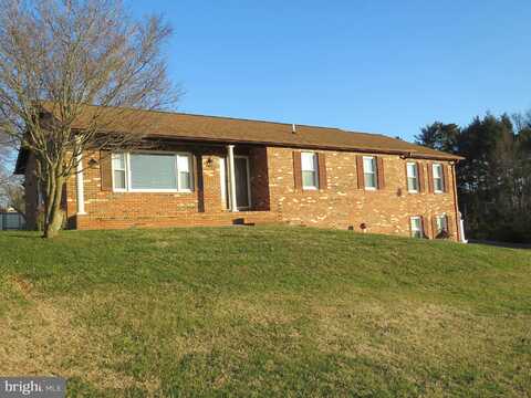 Chestnut, CULPEPER, VA 22701