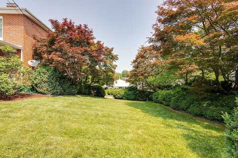 Wilson, LURAY, VA 22835