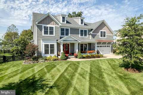 Williamson, WINCHESTER, VA 22602