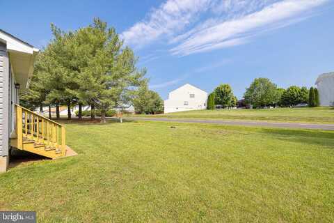 Harrier, CULPEPER, VA 22701