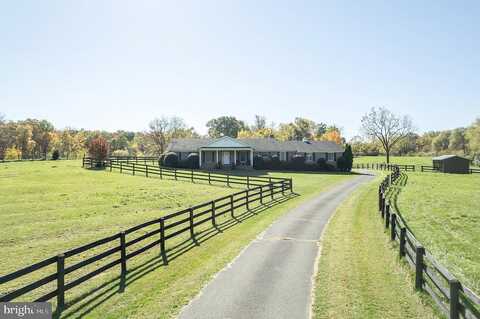 Allen, BERRYVILLE, VA 22611