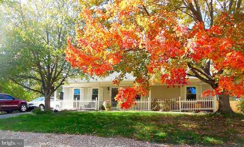 Robin, STEPHENS CITY, VA 22655