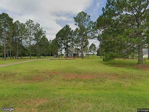 Canvasback, LEESBURG, GA 31763