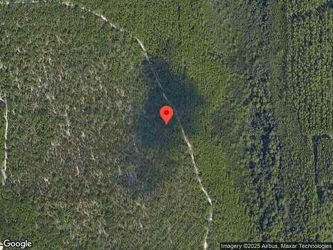 Standing Cypress, PANAMA CITY, FL 32404