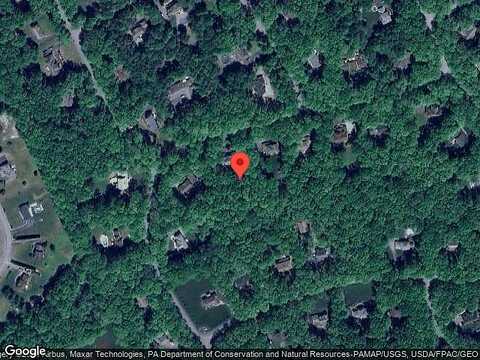 Sassafrass, STROUDSBURG, PA 18360
