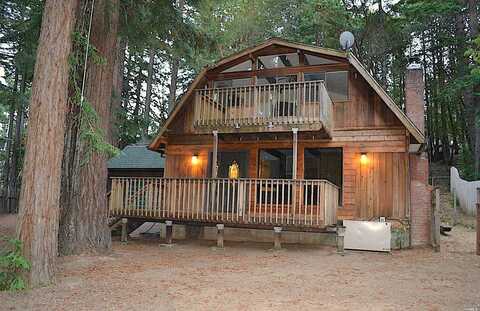 Camellia, WILLITS, CA 95490