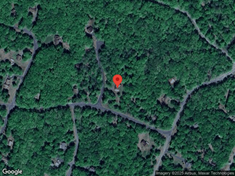 Blueberry, BUSHKILL, PA 18324