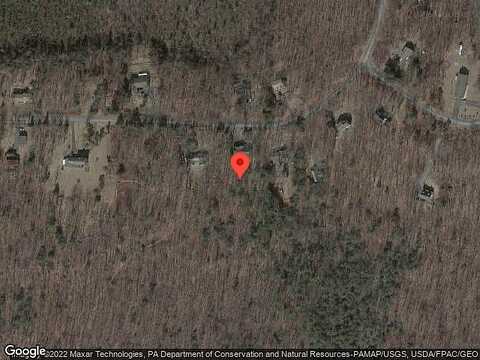 Weasel, DINGMANS FERRY, PA 18328