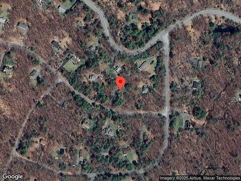 Crocus, MILFORD, PA 18337
