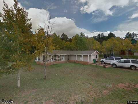 Blackfoot, WOODLAND PARK, CO 80863