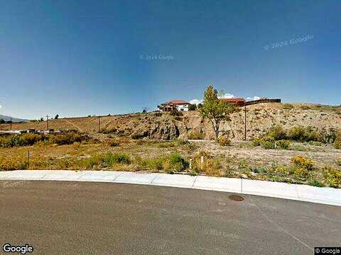 Willow, RIFLE, CO 81650