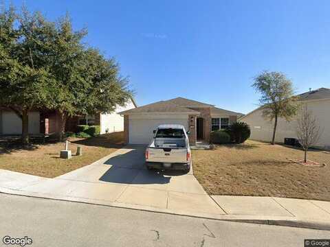 Palomino, SAN ANTONIO, TX 78245