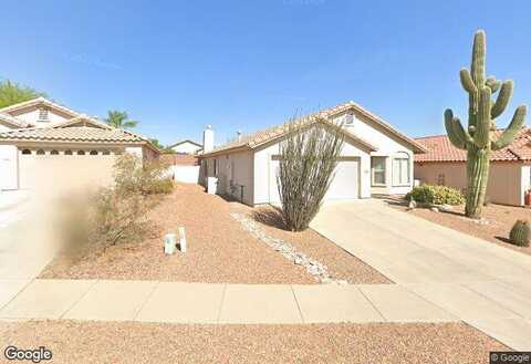 Wild Indigo, MARANA, AZ 85658