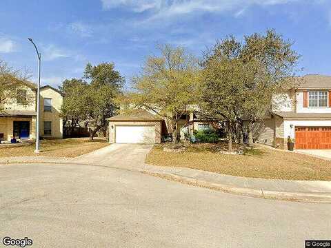 Pansy, HELOTES, TX 78023