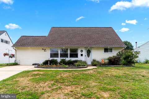 Petunia, LEVITTOWN, PA 19056