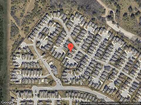 Kingbird, SAN ANTONIO, TX 78245