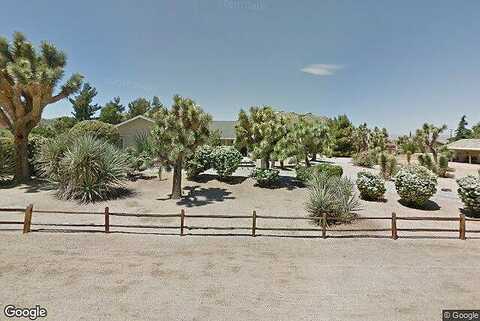 Joshua, YUCCA VALLEY, CA 92284