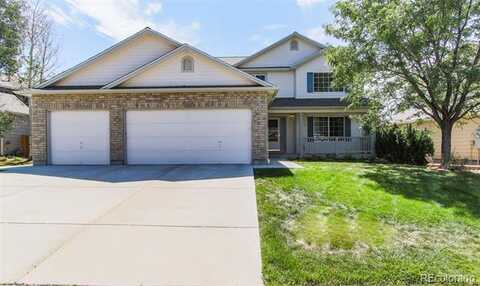 Quarterhorse, CASTLE ROCK, CO 80104