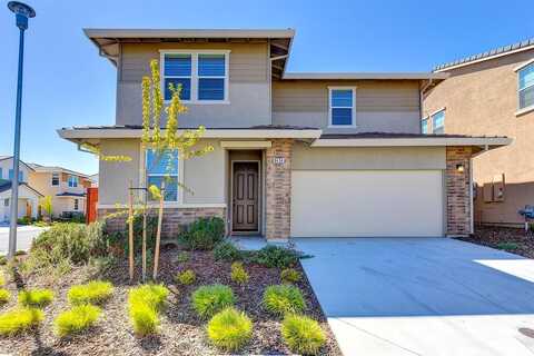 Stellata, ELK GROVE, CA 95758