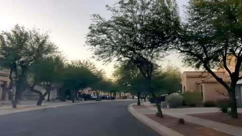 Vineyard, GILBERT, AZ 85297
