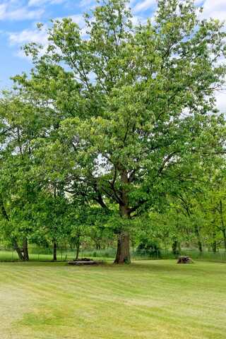 Pinewoods, QUICKSBURG, VA 22847