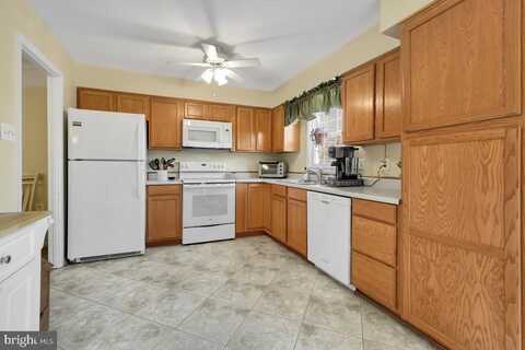 Stallion, WOODBRIDGE, VA 22192