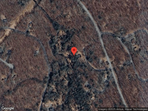 Woodpecker, BUSHKILL, PA 18324