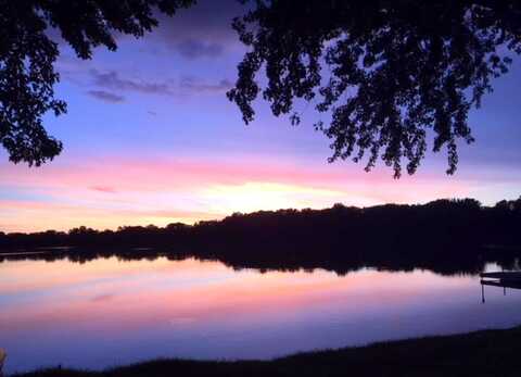 Swan, SAINT PAUL, MN 55120