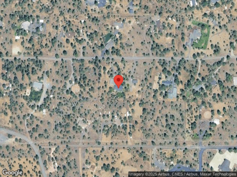 Bitterbrush, SISTERS, OR 97759