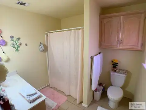Whitewing, LYFORD, TX 78569