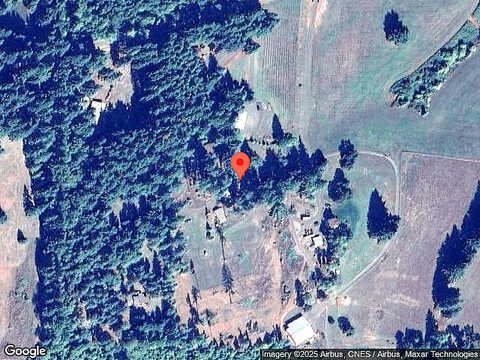 Steinmetz, JUNCTION CITY, OR 97448