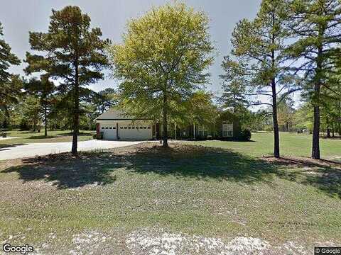 Fiddlers, BUENA VISTA, GA 31803