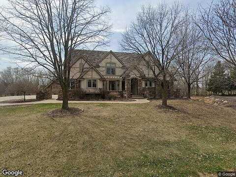Lythrum, HAMEL, MN 55340
