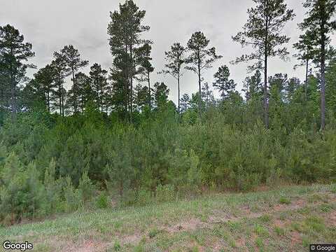 Woodpecker, DANIELSVILLE, GA 30633