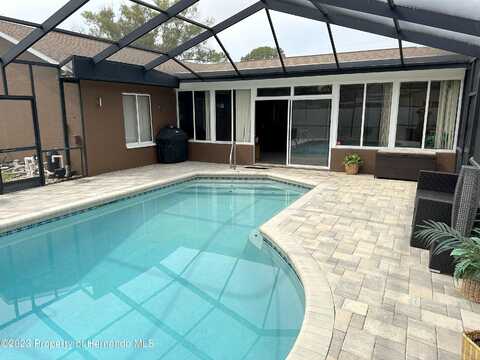 Angora, SPRING HILL, FL 34608