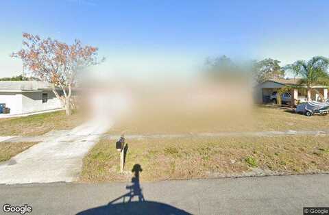 Danbury, SPRING HILL, FL 34606