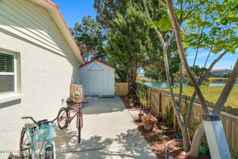 Crape Myrtle, HERNANDO BEACH, FL 34607