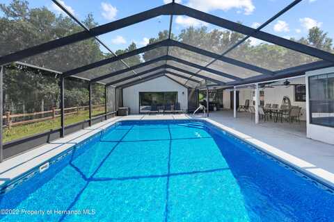 Danforth, SPRING HILL, FL 34608