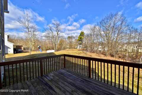 Grey Birch, LONG POND, PA 18334